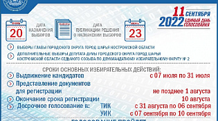 Единый день голосования